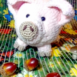 Домашняя свинка