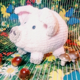 Домашняя свинка