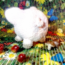 Домашняя свинка