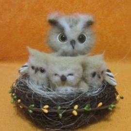 Совиная семья