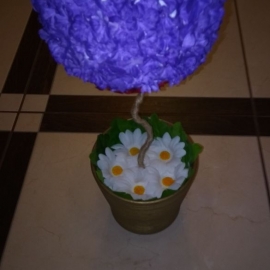 Топиарий РОССИЯ