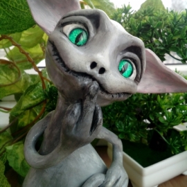 Скромный кот