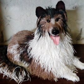 Копилка Колли