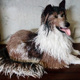 Копилка Колли