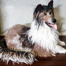 Копилка Колли