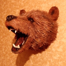 Охотничий трофей " Ревущий медведь"