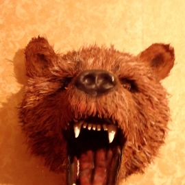 Охотничий трофей " Ревущий медведь"