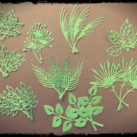 Набор листьев