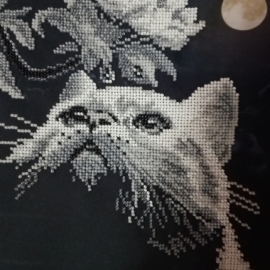 Кот с магнолией