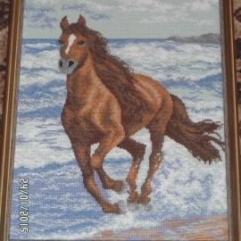 Вышитая картина "Бегущий по волнам"