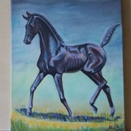 Игривыи жеребёнок.