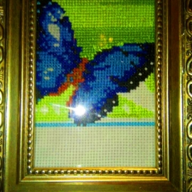 Синяя бабочка