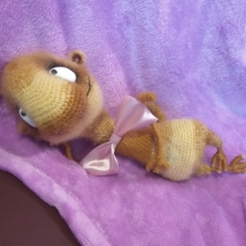 Сурикат Изя