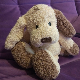 Щенок очаровашка