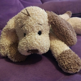 Щенок очаровашка