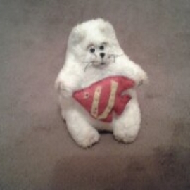 Мартовский котик