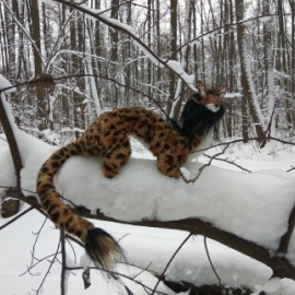 Каркасная игрушка. Парлог