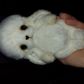 Зайчонок Каспер-любитель кормить птиц