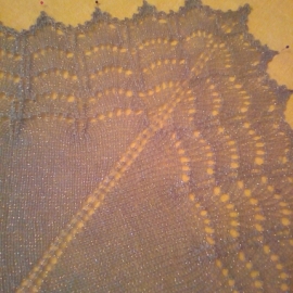 Шаль-Бактус