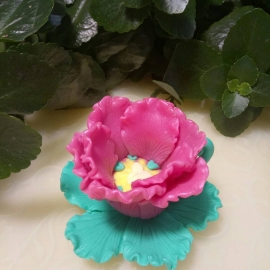 Мыло "Чайная пара"